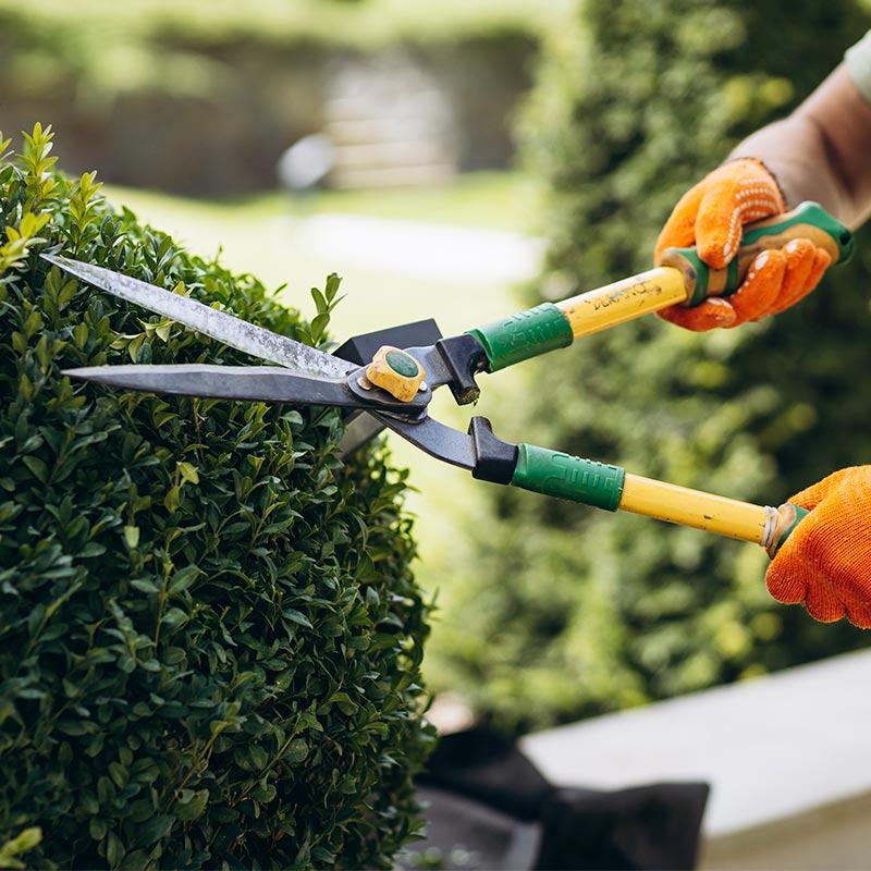 Mantenimientos de jardines