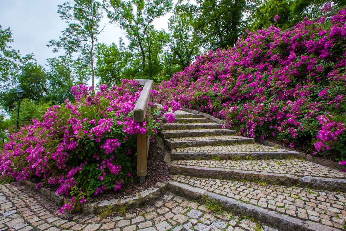 Jardines de ensueno en Ibiza